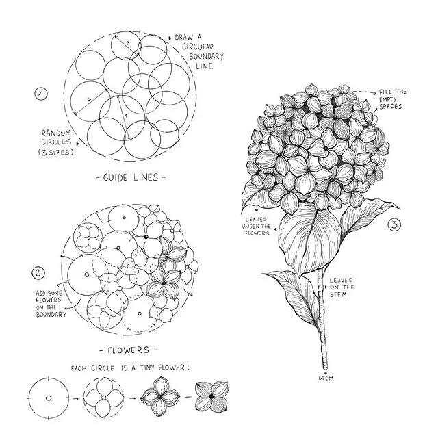 花开美利坚最新章节及步骤指南，初学者与进阶用户必读