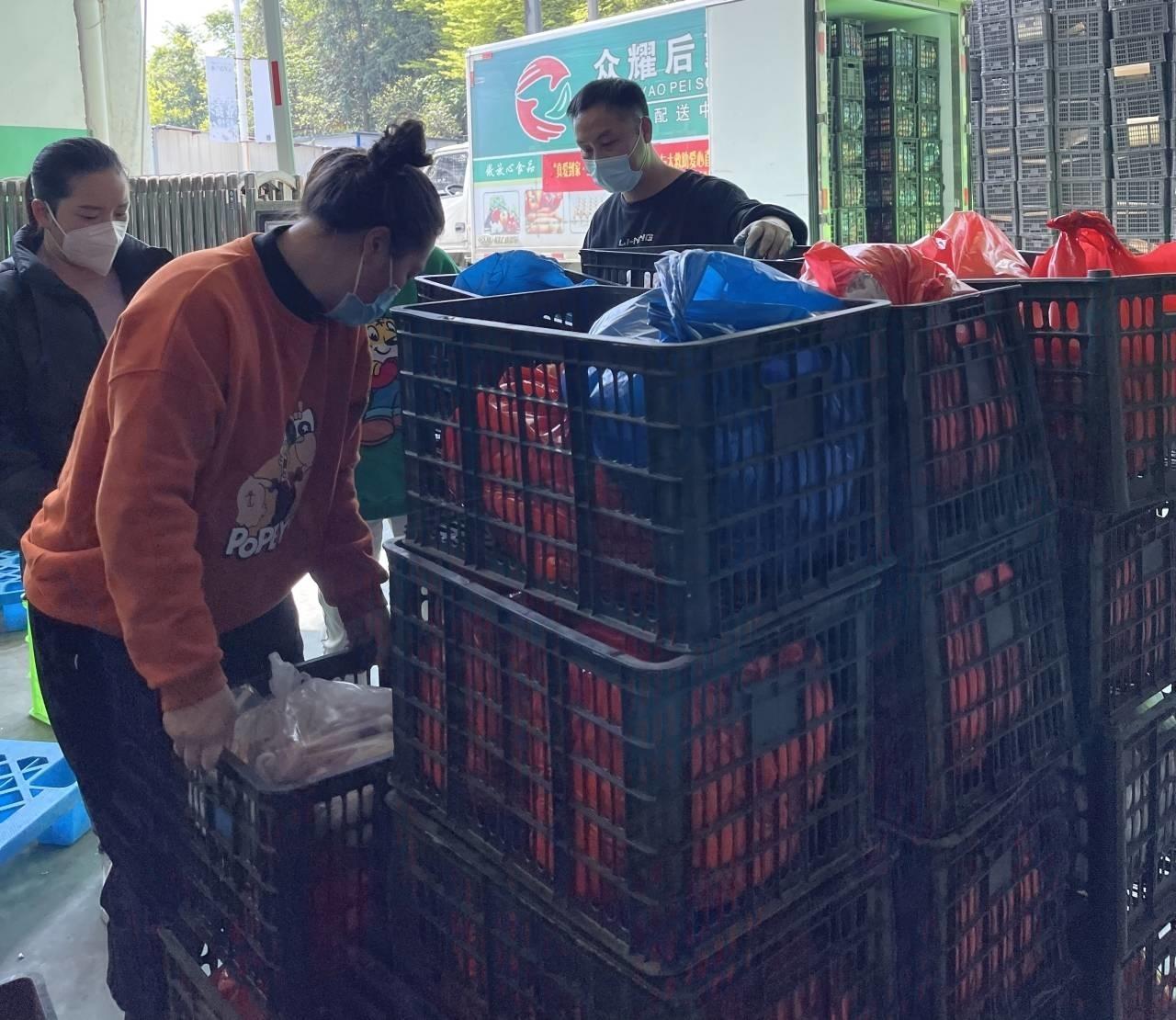 澳大利亚疫情最新动态与巷弄深处的风情瑰宝